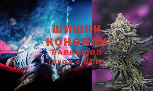сатива Аркадак