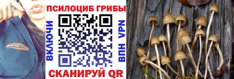закладка Боровск Галлюциногенные грибы мухоморы
